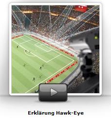 hawk-eye